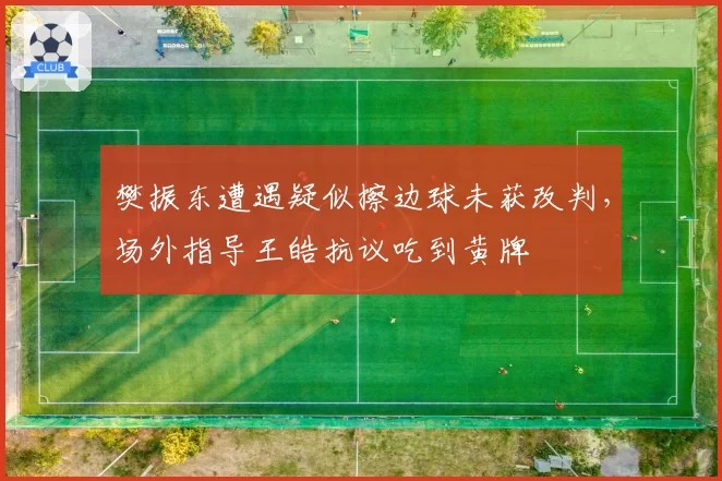 樊振东遭遇疑似擦边球未获改判,场外指导王皓抗议吃到黄牌