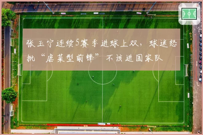 张玉宁连续5赛季进球上双，球迷怒批“虐菜型前锋”不该进国家队